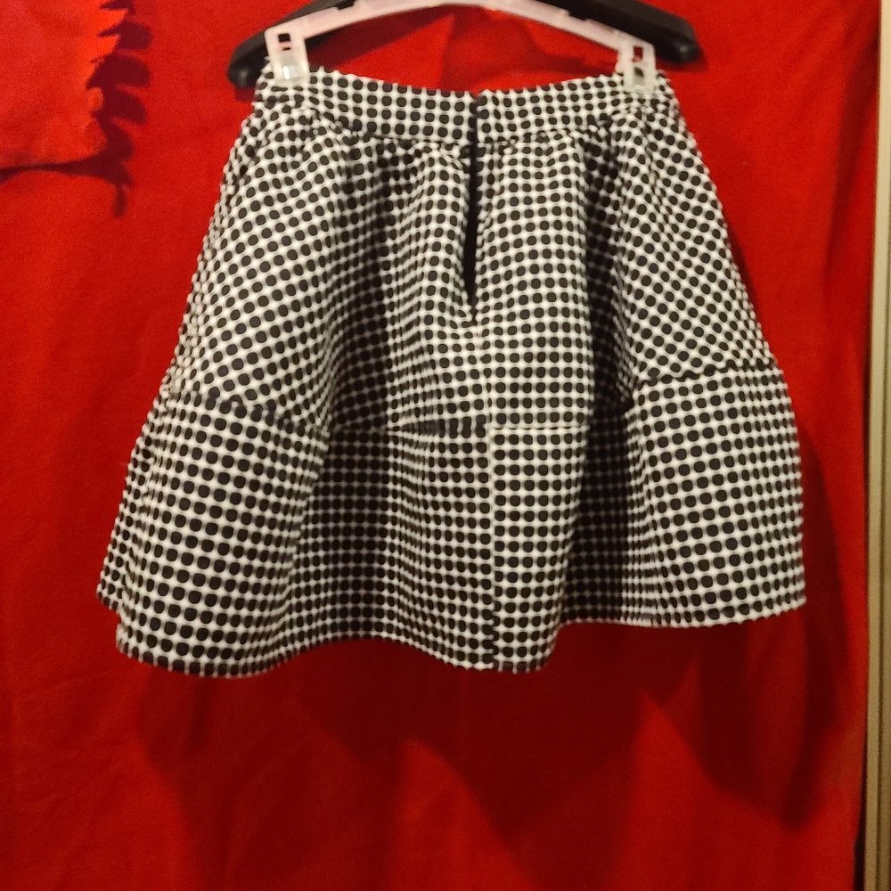 Express Skirt